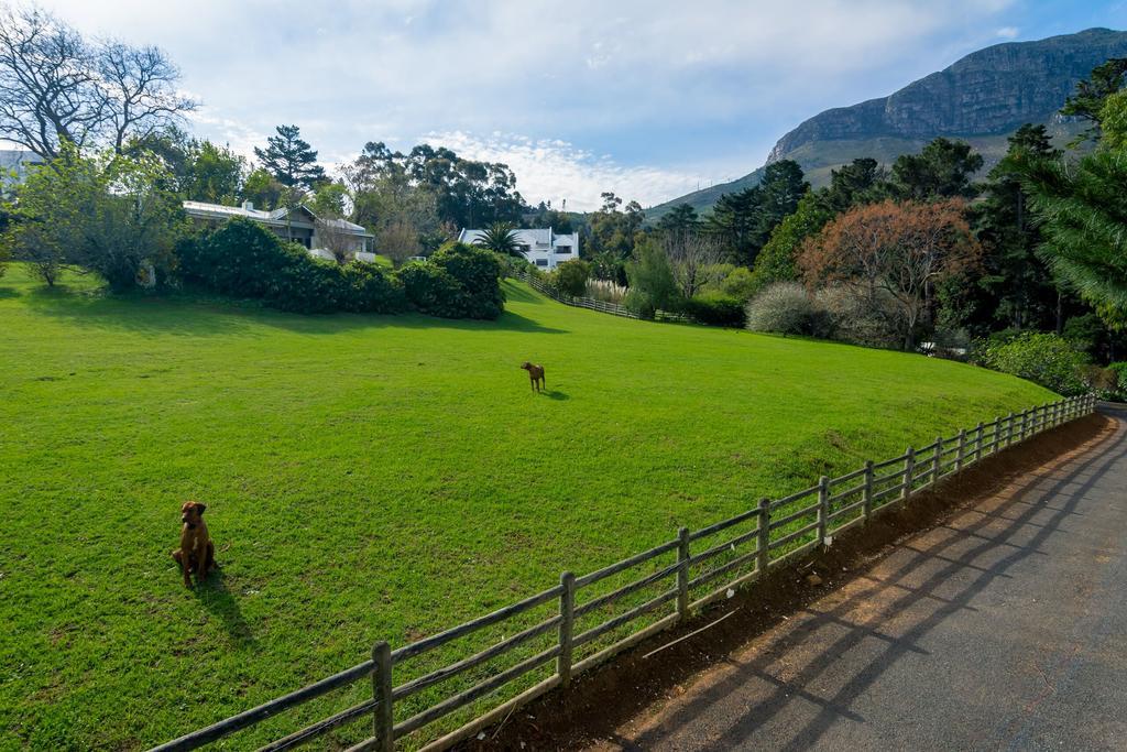 De Molen Guest House Somerset West Εξωτερικό φωτογραφία